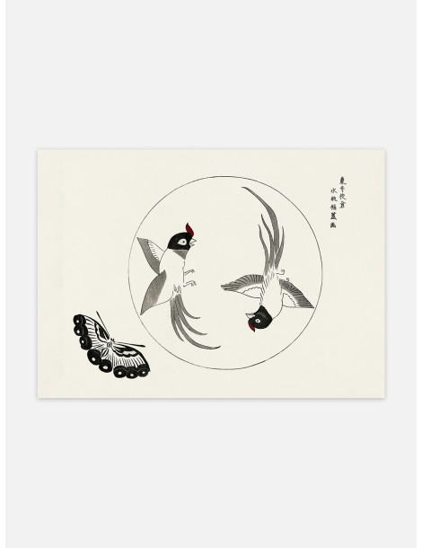 Japanese vintage original woodblock print of birds (Yatsuo no tsubaki) - Taguchi Tomoki Poster